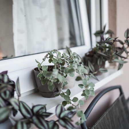 Apartman Centar Doboj Zewnętrze zdjęcie
